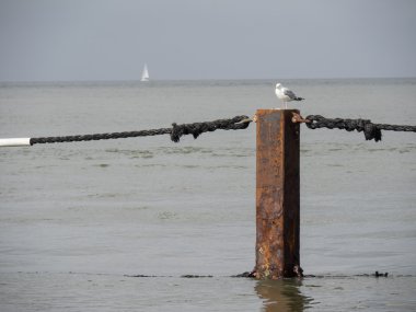 Cuxhaven Almanya