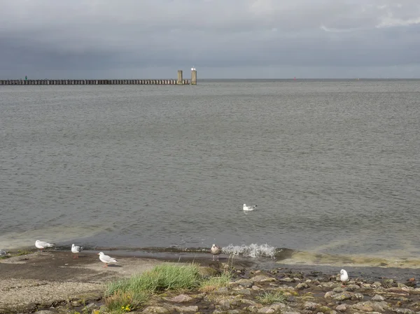 Cuxhaven Almanya — Stok fotoğraf