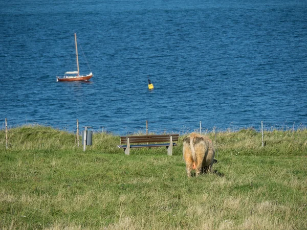 Helgoland Adası. — Stok fotoğraf