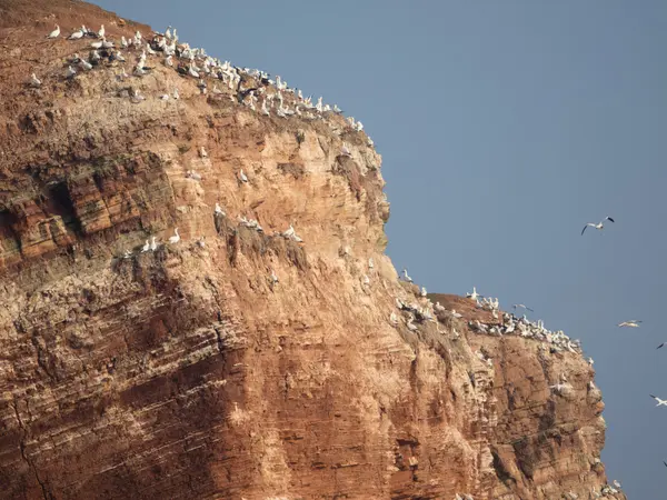 La Isla de helgoland —  Fotos de Stock