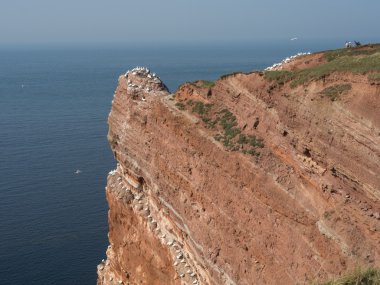 Adanın helgoland