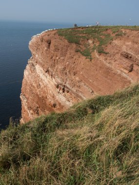 Adanın helgoland