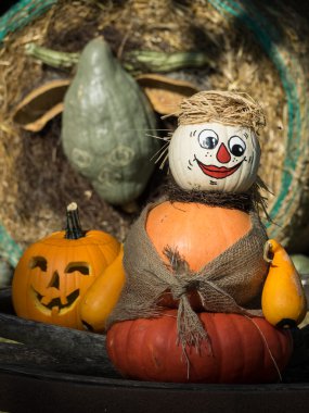 Yıldızçiçekleri Almanya