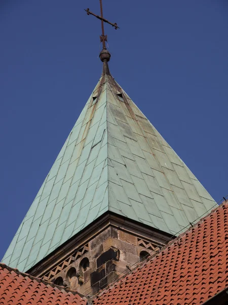 Dahlien im Münsterland — Stockfoto