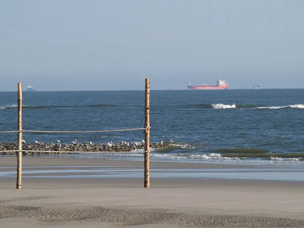 L'île de wangerooge — Photo