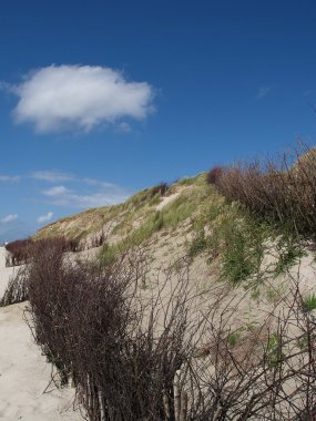 Kuzey denizindeki Alman adası