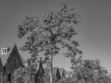 Hollanda 'daki Alkmaar şehri.