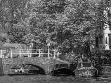 Hollanda 'daki Alkmaar şehri.