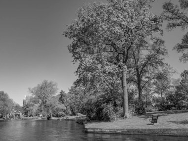 Hollanda 'daki Alkmaar şehri.