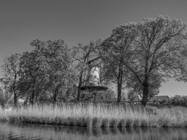 Hollanda 'daki Alkmaar şehri.