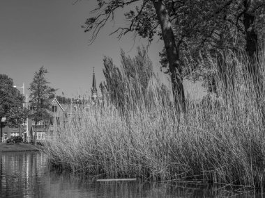 Hollanda 'daki Alkmaar şehri.