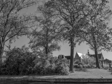Hollanda 'daki Alkmaar şehri.