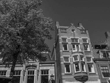 Hollanda 'daki Alkmaar şehri.