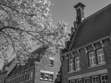 Hollanda 'daki Alkmaar şehri.