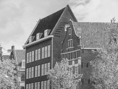 Hollanda 'daki Amsterdam şehri.