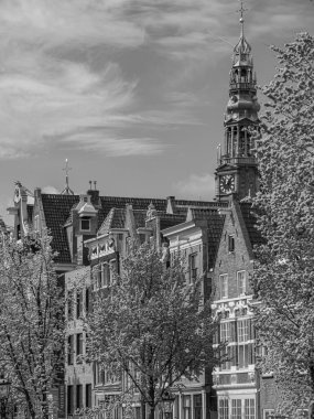 Hollanda 'daki Amsterdam şehri.