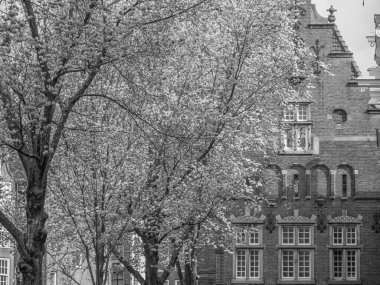 Hollanda 'daki Amsterdam şehri.