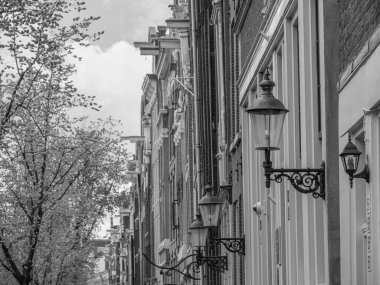 Hollanda 'daki Amsterdam şehri.