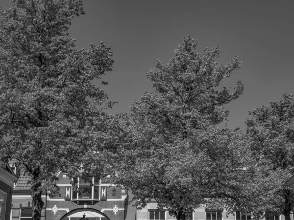 Stad Alkmaar Nederland — Stockfoto