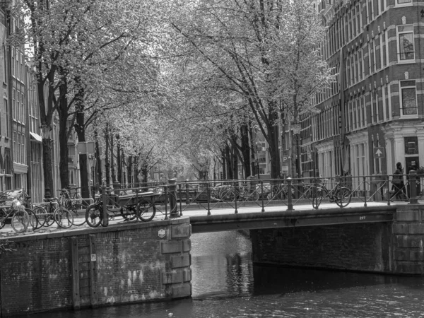 Ville Amsterdam Aux Pays Bas — Photo