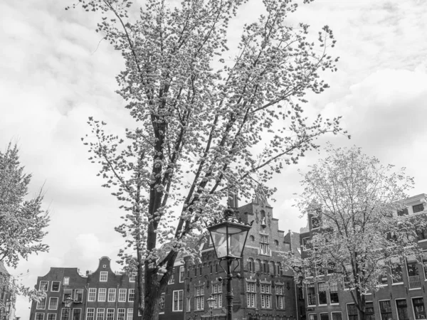 Cidade Amsterdam Nas Terras Baixas — Fotografia de Stock