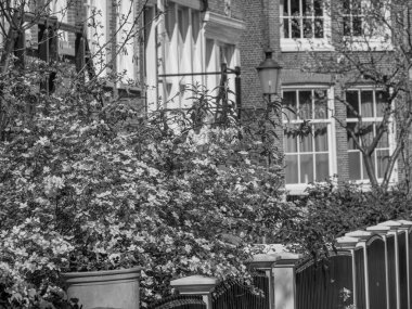 Hollanda 'daki Amsterdam şehri.