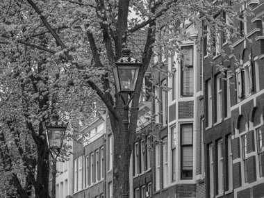 Hollanda 'daki Amsterdam şehri.