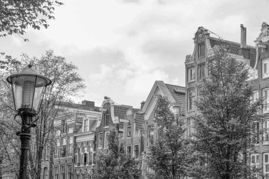 Hollanda 'daki Amsterdam şehri.