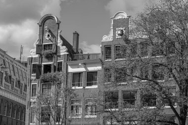 Hollanda 'daki Amsterdam şehri.