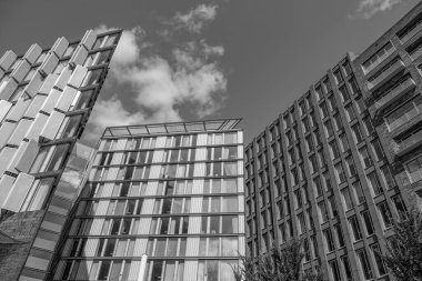 Hollanda 'daki Amsterdam şehri.