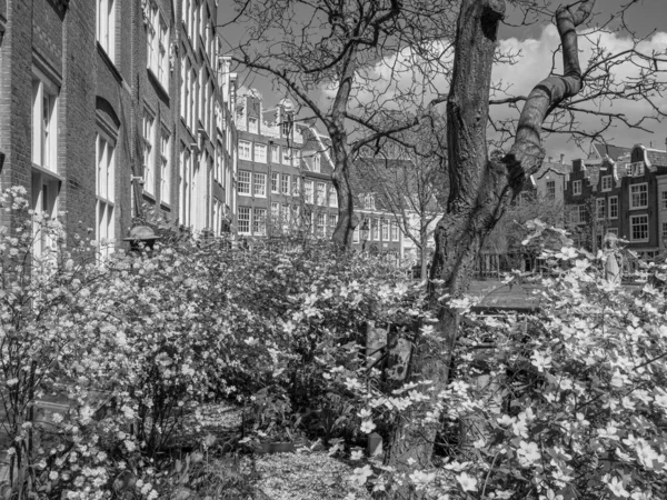 Staden Amsterdam Underlandet — Stockfoto