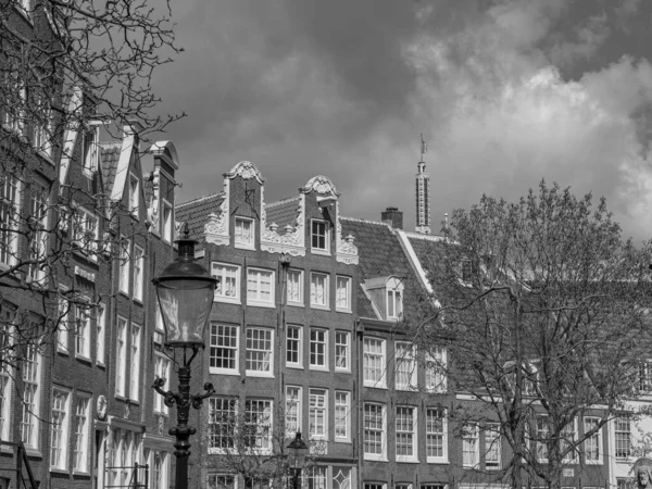 Stad Amsterdam Het Noorden — Stockfoto