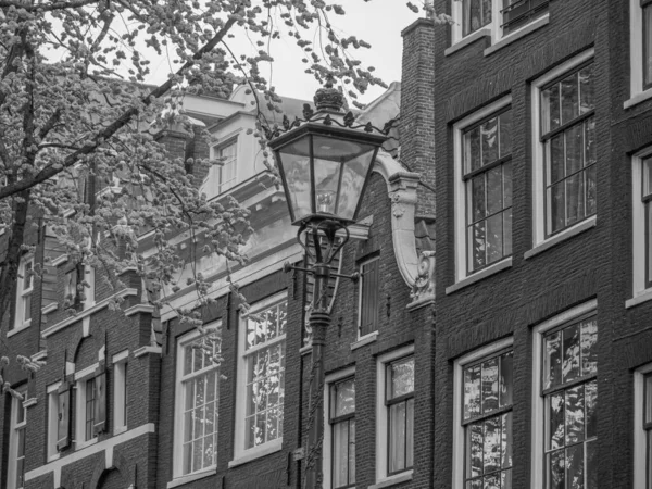 Stad Amsterdam Het Noorden — Stockfoto