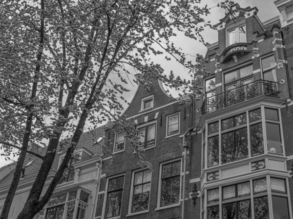 Ciudad Amsterdam Los Países Bajos — Foto de Stock