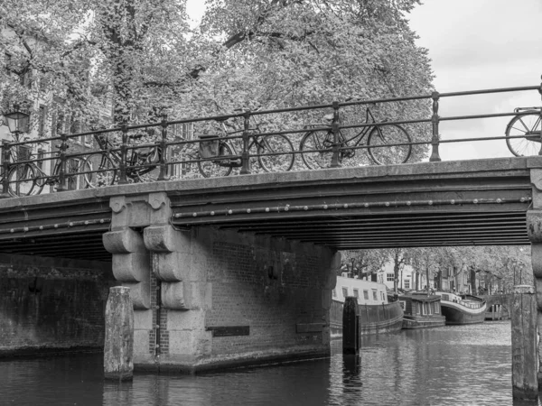 Stad Amsterdam Het Noorden — Stockfoto