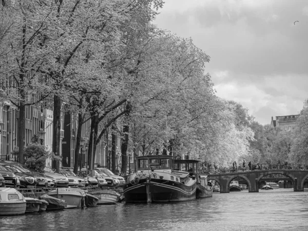 Die Stadt Amsterdam Den Niederlanden — Stockfoto