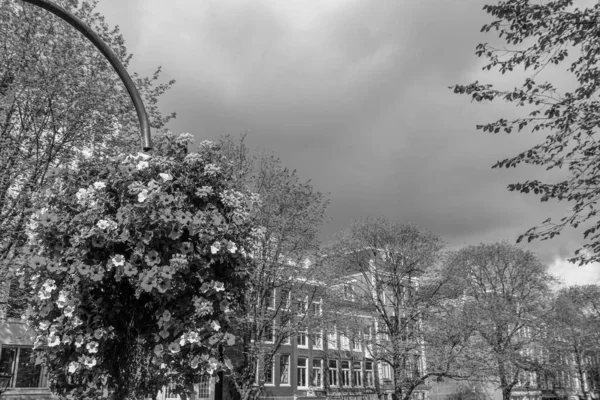 Cidade Amsterdam Nas Terras Baixas — Fotografia de Stock