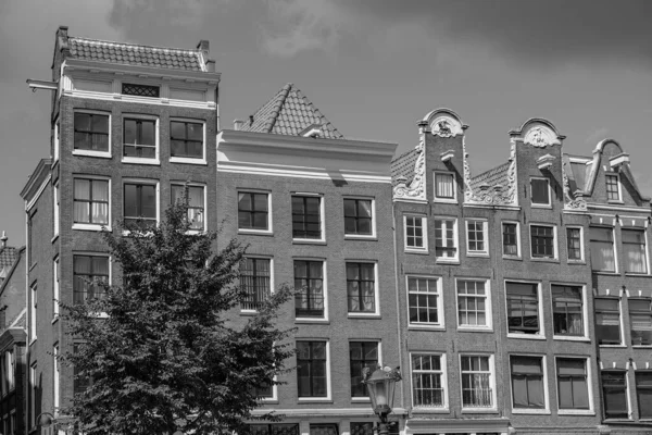 City Amsterdam Netherlands — Stock Photo, Image