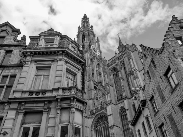 Місто Антверпен Бельгіоні — стокове фото