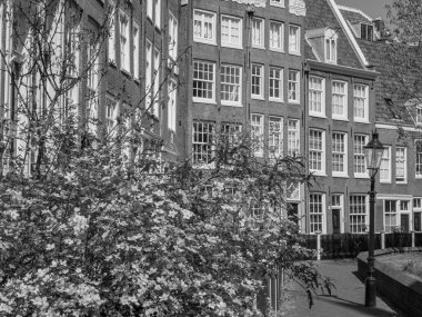 Amsterdam 'ın Hollanda kenti