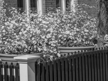 Amsterdam 'ın Hollanda kenti