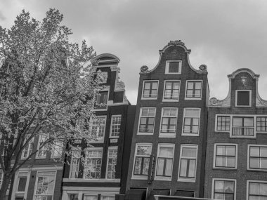 Amsterdam 'ın Hollanda kenti