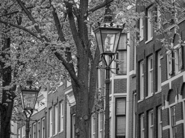 Amsterdam 'ın Hollanda kenti