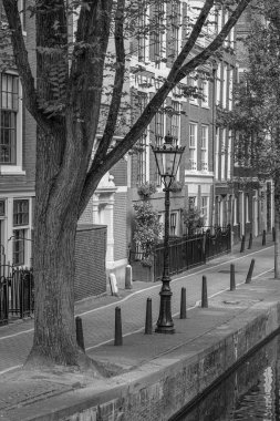 Amsterdam 'ın Hollanda kenti