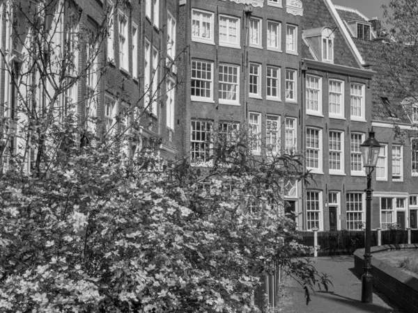 Ciudad Holandés Amsterdam — Foto de Stock