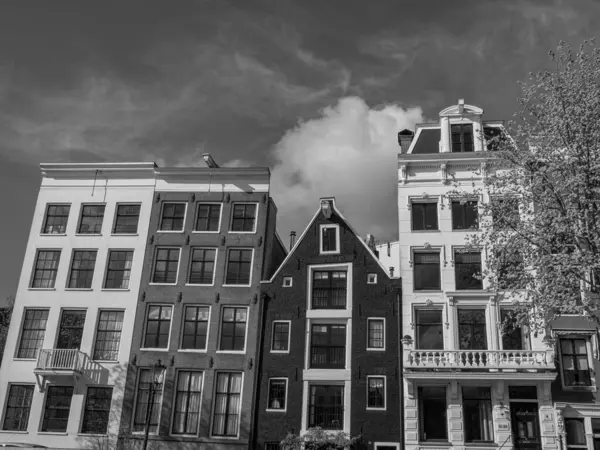 Ciudad Holandés Amsterdam — Foto de Stock