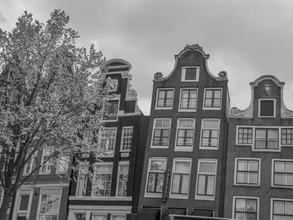 Ciudad Holandés Amsterdam — Foto de Stock