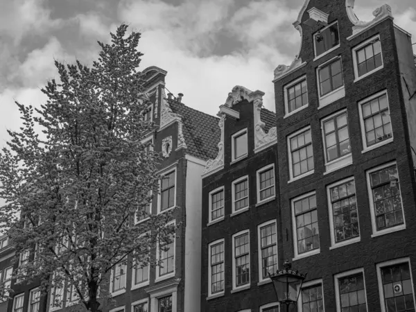 Die Holländische Stadt Amsterdam — Stockfoto