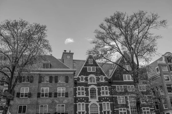 Ciudad Holandés Amsterdam —  Fotos de Stock