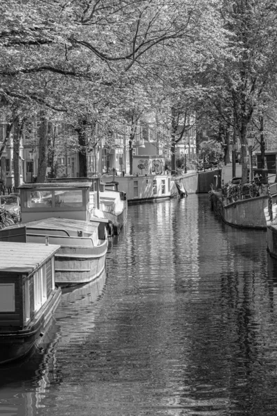 阿姆斯特丹的杜奇市 — 图库照片